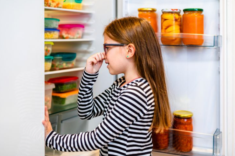 Fridge Repair Service bad smells